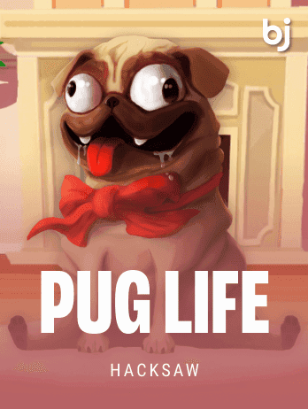 Pug Life thumbnail
